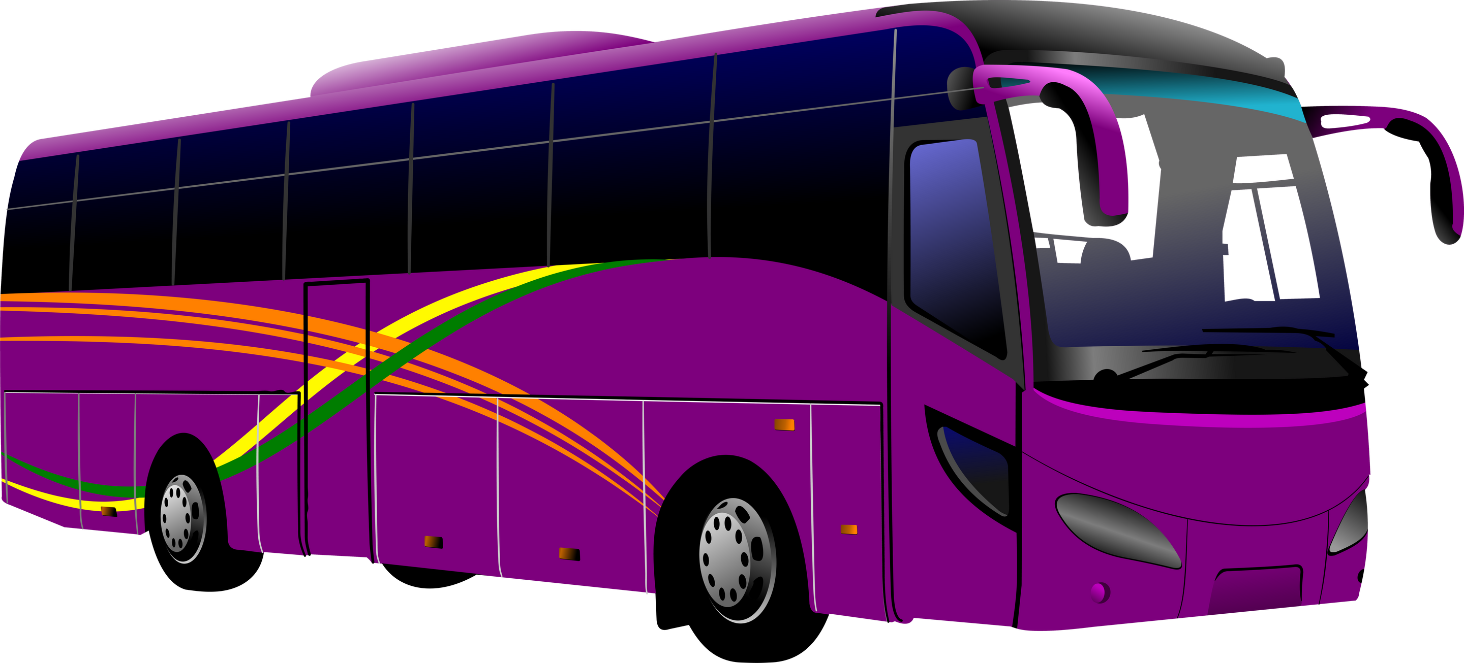 city buses tourist coach vector illustration